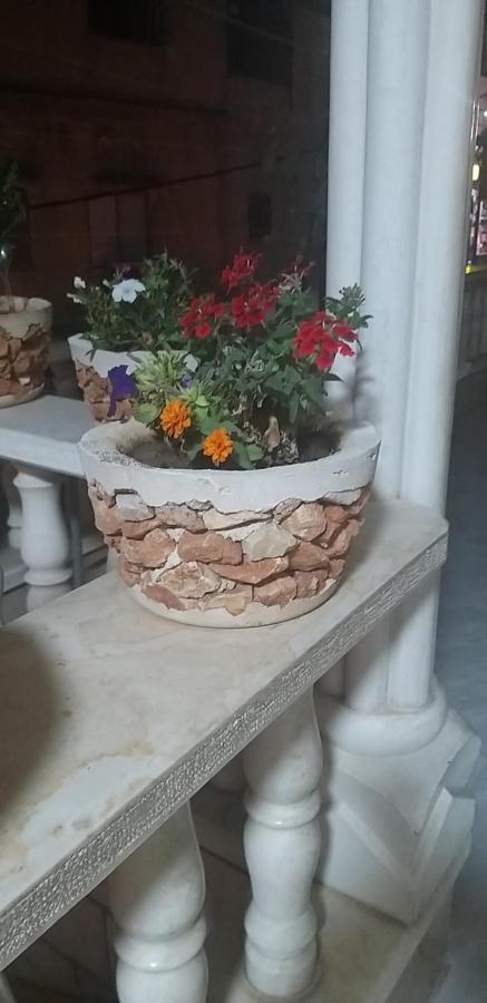 Zohara Villa Nahf Екстериор снимка